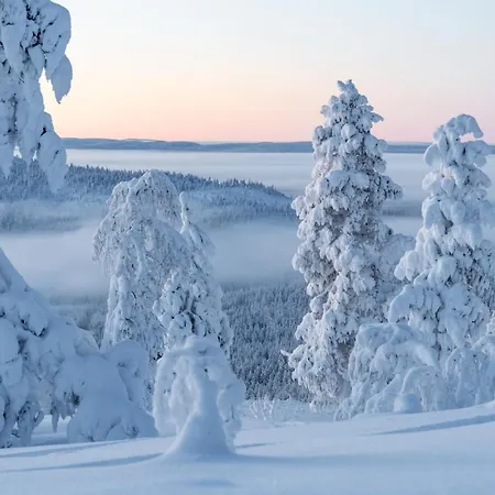 Yläkasi A By In Lapland Levi